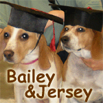 Baily & Jersey