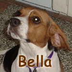 Bella