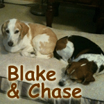 Blake&Chase