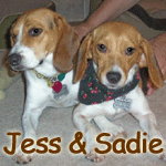 Jess & Sadie
