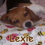 Lexie