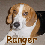 Ranger