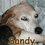 Sandy