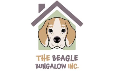 Beagle Sanctuary Update