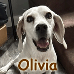 Olivia