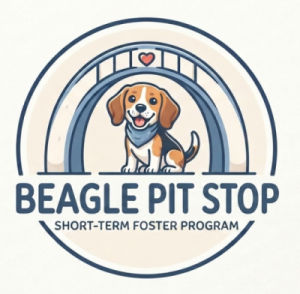 Beagle Pit Stop Logo for Beagle Pit Stop, a short-term foster program, featuring a beagle inside a circular badge with pastel arches and a small heart above.